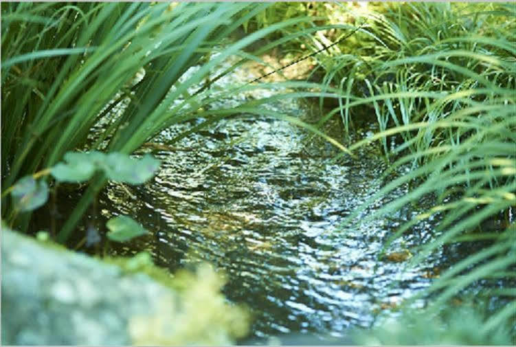 Ryokan Asono Yamaboushi Bagian luar foto